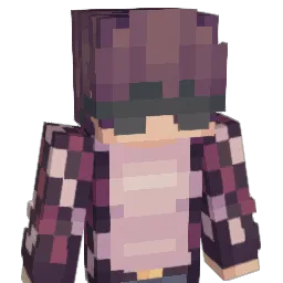 ru29by11 Minecraft avatar bust