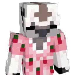 rubiks_sphere1 Minecraft avatar bust