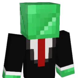rudyboy55 Minecraft avatar bust