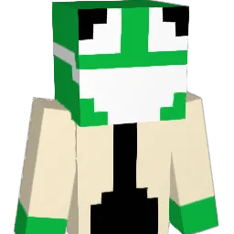 ruimy9 Minecraft avatar bust
