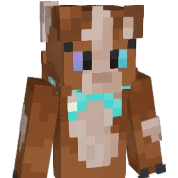 rukii_of_skalitz Minecraft avatar bust