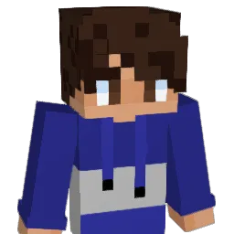 run215 Minecraft avatar bust