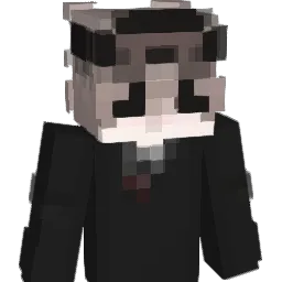 rxcrujt Minecraft avatar bust