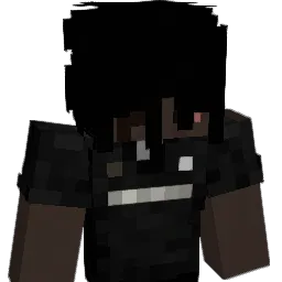 rxdu_ Minecraft avatar bust