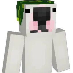 ryandecristoforo Minecraft avatar bust