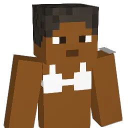 ryansoccer7 Minecraft avatar bust