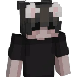 ryjcbb Minecraft avatar bust
