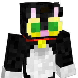 rykr14's Minecraft skin