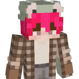 ryry70 Minecraft avatar bust