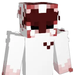ryxint's Minecraft skin