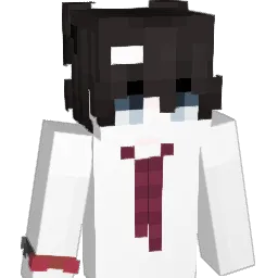 s0or Minecraft avatar bust