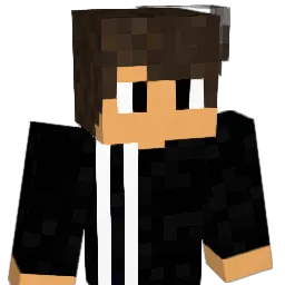 s_o_wuiner Minecraft avatar bust
