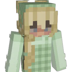 saar3005 Minecraft avatar bust