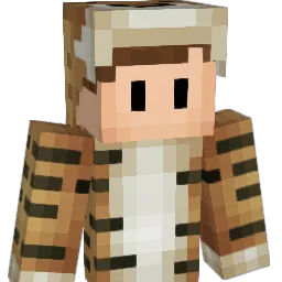 saaterz Minecraft avatar bust
