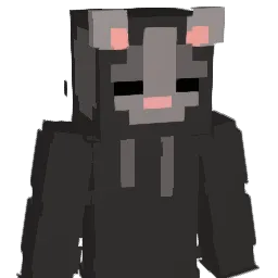 sab333 Minecraft avatar bust
