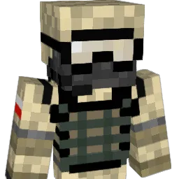 sadowski25 Minecraft avatar bust