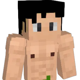 saedsok1 Minecraft avatar bust