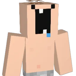 saggyflabbytitz Minecraft avatar bust