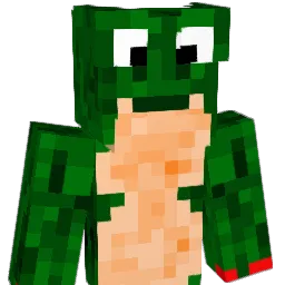 saifo_'s Minecraft skin