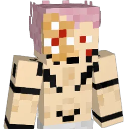 saikopao Minecraft avatar bust