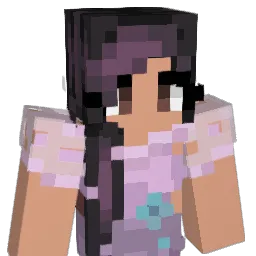 sailorjupiter11 Minecraft avatar bust