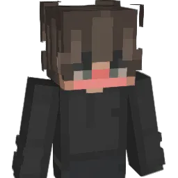 sakura27_ Minecraft avatar bust