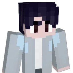 sal1nka Minecraft avatar bust