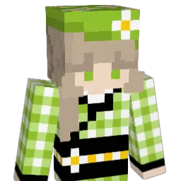 saladbaa's Minecraft skin
