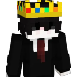 salces_14 Minecraft avatar bust