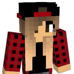 salim_X Minecraft avatar bust