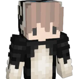salinas1999 Minecraft avatar bust