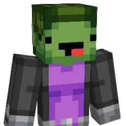 sallback1 Minecraft avatar bust