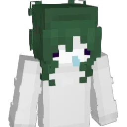 sallynewba Minecraft avatar bust