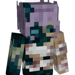 salnx Minecraft avatar bust