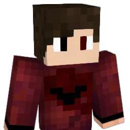 salocin12345 Minecraft avatar bust