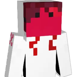 salox5 Minecraft avatar bust