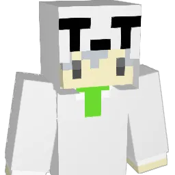 salt_1006 Minecraft avatar bust