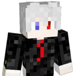 salt_fish2013 Minecraft avatar bust