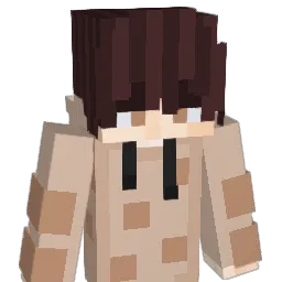 saltedvaseline Minecraft avatar bust