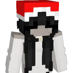 salydocus's Minecraft skin