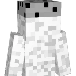 salzt Minecraft avatar bust