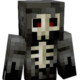 sam22lolo11 Minecraft avatar bust
