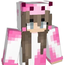 sam_h5 Minecraft avatar bust