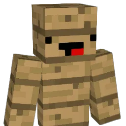 sammasosa1234 Minecraft avatar bust