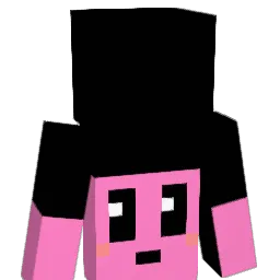 sammchiii Minecraft avatar bust