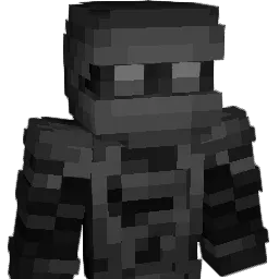 samy5556 Minecraft avatar bust
