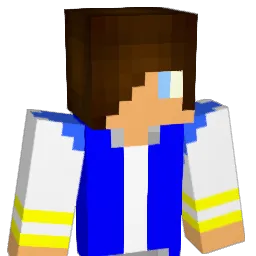 samysamy33 Minecraft avatar bust