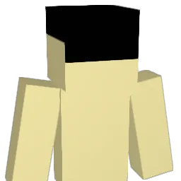 sandere123456 Minecraft avatar bust
