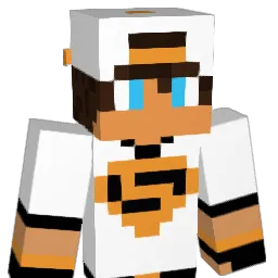 sanechek