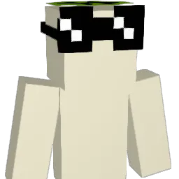 sansam3 Minecraft avatar bust